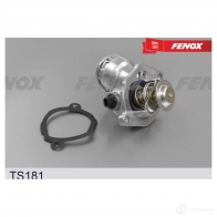 Термостат FENOX TS181 1439996454 UET0 AC7