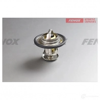 Термостат FENOX 2A4B JBD TS203 1439996476