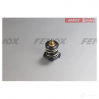 Термостат FENOX 1439996482 TS210 RIY WE