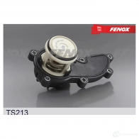 Термостат FENOX B JUQZ3G 1439996485 TS213