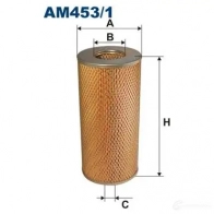 Воздушный фильтр FILTRON 5904608014535 MR JHF4 am4531 2101464