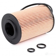 Масляный фильтр FILTRON 88 N5U oe688 2103011 5904608006882 - Изображение 4