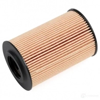 Масляный фильтр FILTRON 88 N5U oe688 2103011 5904608006882 - Изображение 7