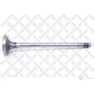 Выпускной клапан STELLOX 4057276013988 Ford Fiesta 01-24180-SX D0ZLR 1