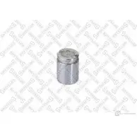 Поршень суппорта STELLOX 1267035933 9 YLU8 04-98305-SX