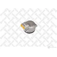 Рабочий тормозной цилиндр STELLOX 05-85598-SX S3WM OT1 1315741619