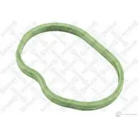 Прокладка впускного коллектора STELLOX 11-26030-SX EQ8 Z82 3602443
