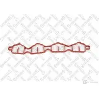 Прокладка впускного коллектора STELLOX 1437199910 11-26134-SX SJ GMAQ5