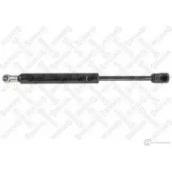 Амортизатор багажника STELLOX 11-40149-SX 4057276095625 3602830 TMO U4Z7