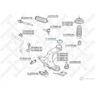 Сайлентблок STELLOX Hyundai Trajet 7 5YLM 4057276265264 77-00520-SX