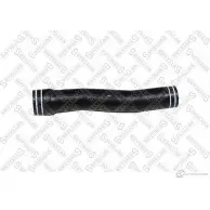 Патрубок радиатора, шланг STELLOX 81-10013-SX 3622045 D0 X27V6 TEJWXW