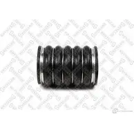 Патрубок радиатора, шланг STELLOX 3622153 81-10142-SX N J574XW IVGHXU