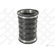 Патрубок радиатора, шланг STELLOX 3EDEW 3622154 81-10143-SX A 2HL16