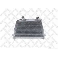 Интеркулер STELLOX WXX P2JM 81-10875-SX 1268194325