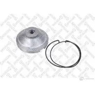 Колпак ступицы STELLOX 83-00067-SX 3W2I J 1424893864