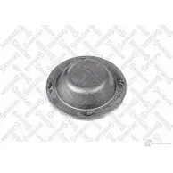 Колпак ступицы STELLOX 1437204170 F56T 7MK 83-00069-SX