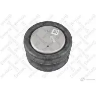 Пневмоподушка STELLOX 84-00105-SX V13225O 3624938 FD 200-25-1/4 M10