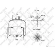 Пневмоподушка STELLOX S6F0A 6 4057276321403 3624948 84-00120-SX - Изображение 2
