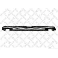 Панель кузова STELLOX 1424719132 87-21513-SX G 87MQ