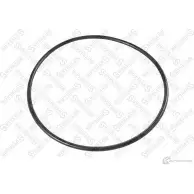 Уплотнительное кольцо STELLOX TX WAP2 3631887 89-01071-SX 4057276445994