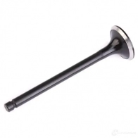 Выпускной клапан FRECCIA R6039/RNT 8112000013293 1958648 4M R7W - Изображение 3