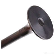 Выпускной клапан FRECCIA R6039/RNT 8112000013293 1958648 4M R7W - Изображение 4
