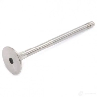 Выпускной клапан FRECCIA FQ E1FM 8112000013101 R6014/BM 1958629 - Изображение 2