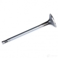 Выпускной клапан FRECCIA 1958798 N M04A R6207/BMCR 8112000015532 - Изображение 4