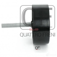 Ролик натяжителя приводного ремня QUATTRO FRENI 1233277376 QF31P00086 PM4 ONDJ - Изображение 5