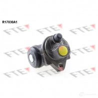 Рабочий тормозной цилиндр FTE R17030A1 611380 ZBWLF Z 4028569192628