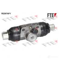 Рабочий тормозной цилиндр FTE S 38 C4G35C R2207AF1 611672
