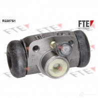 Рабочий тормозной цилиндр FTE 5DDG6T S 38 R2207S1 611678