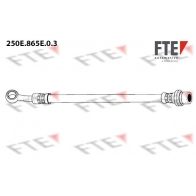 Тормозной шланг FTE 250E.865E.0.3 DMQ HJ1 1440289277