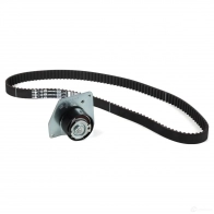 Оригинальный комплект ремня ГРМ MEGANE III SCENIC III 1,9 dCi 131 л.с. RENAULT 8201038625 23136954 ATIQ C - Изображение 2