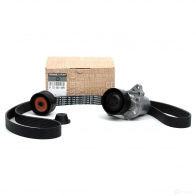 Оригинальный комплект приводного ремня 1.6dCi 90-160 л.с RENAULT PA 4UWVF 117205040R 24407896 - Изображение 1