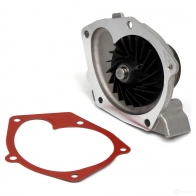 Комплект ремня грм с водяным насосом RENAULT 21898038 EO RACN 7701478846 - Изображение 2
