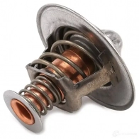 Термостат ож GATES 5414465234361 413065 V P1V6 th22689g1 - Изображение 3