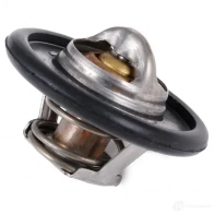 Термостат ож GATES MLSIT 7 5412571989199 412966 th14088g1 - Изображение 5