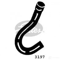 Патрубок радиатора, шланг GATES 3197 404815 5412571016819 E804DO C