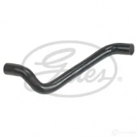 Патрубок радиатора, шланг GATES Renault Logan 1 (LS, KS) 2004 – 2012 5400608123357 052778 9AW BGM