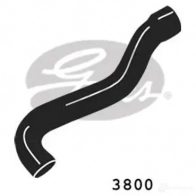 Патрубок радиатора, шланг GATES 405241 5414465103070 3800 F6M5O G