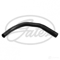 Патрубок радиатора, шланг GATES 3822 ICA TL 7894758062617 Ford KA 1 (CCQ, RB) Хэтчбек 1.3 i 50 л.с. 1996 – 2002