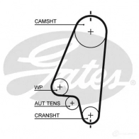 Ремень ГРМ GATES 5310xs 405990 6WZZXJ A 5412571013535 - Изображение 3