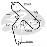 Ремень ГРМ GATES 406057 5412571011517 5391xs 3U 8AX
