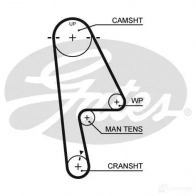 Комплект ремня ГРМ GATES 552 9XS T41023 Honda Logo 1 (GA) 1996 – 2001 k015529xs