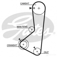 Комплект ремня ГРМ GATES k015254xs 5254XS 50 74XS 408169 - Изображение 2