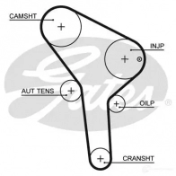 Комплект ремня ГРМ GATES 5564XS k025564xs 409054 SET 43