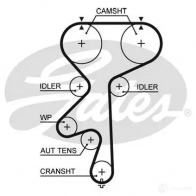 Комплект ремня ГРМ GATES k025542xs 5 542XS T42165 Opel Astra (G) 2 Хэтчбек 2.0 16V OPC (F08. F48) 160 л.с. 1999 – 2002