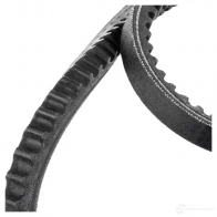 Клиновой ремень GATES XLSKJKB 406708 AVX13 x 800La 6462mc - Изображение 5