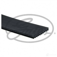 Приводной ремень, поликлиновой GATES 10pk1768hd 1437431448 HSV KV - Изображение 2